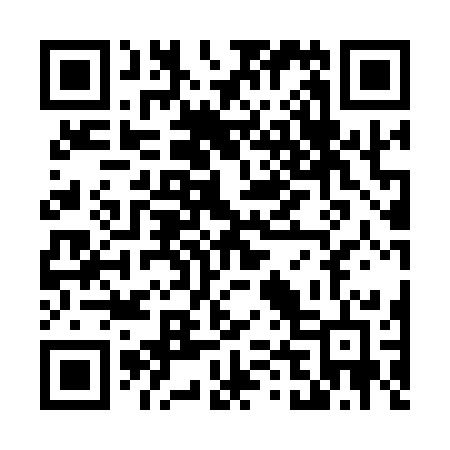 QR code for T4113D