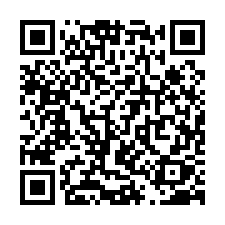 QR code for T4117X
