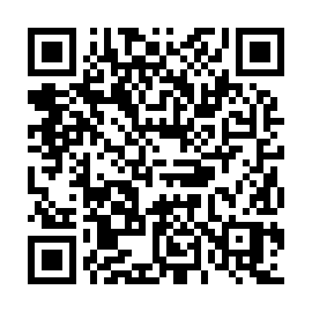 QR code for T4299P