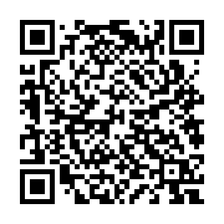 QR code for T463SR