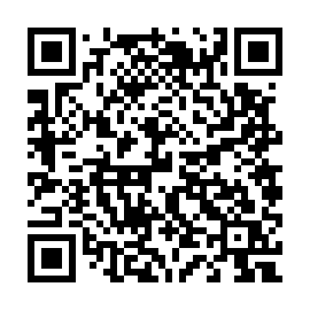 QR code for T4651S