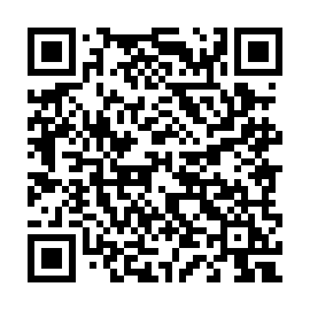 QR code for T480MI