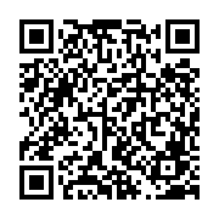 QR code for T495FV
