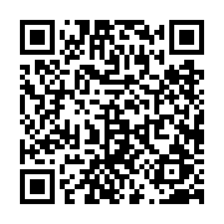 QR code for T507BR