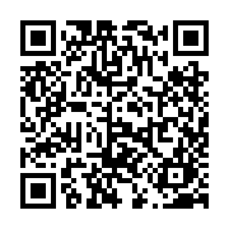 QR code for T513JL