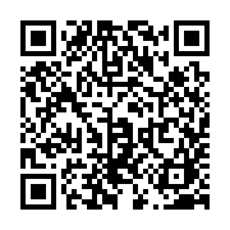 QR code for T5339C