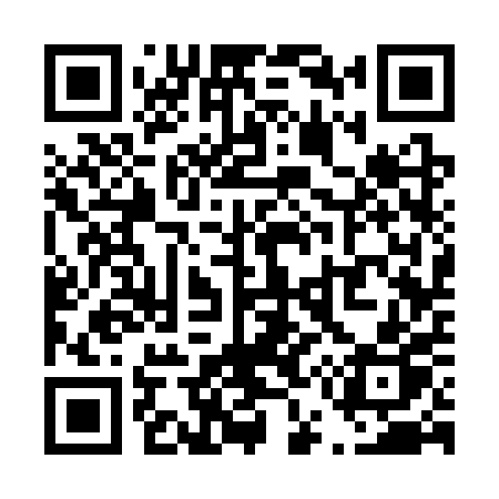 QR code for T533PP