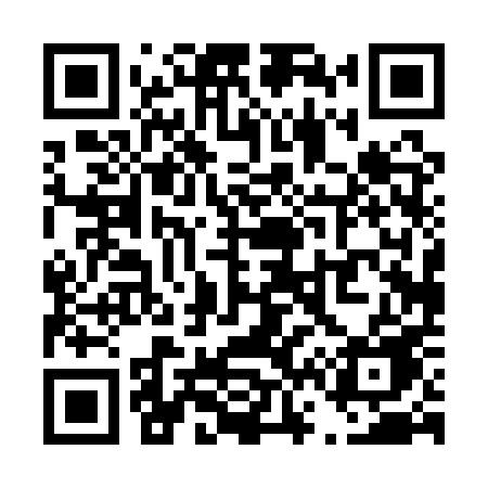 QR code for T601PE