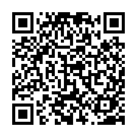 QR code for T6125M