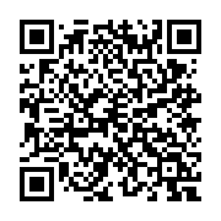 QR code for T816FL