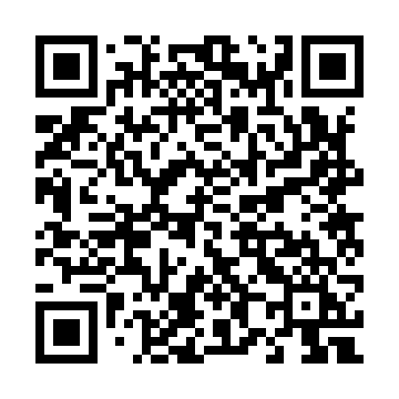 QR code for T8296I