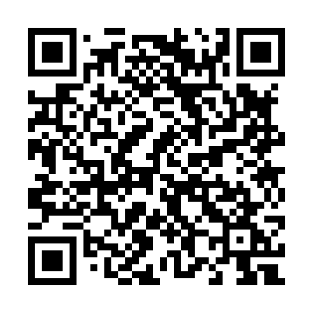 QR code for T8387G