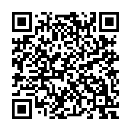 QR code for T838IO