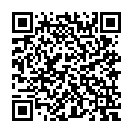 QR code for T896MZ
