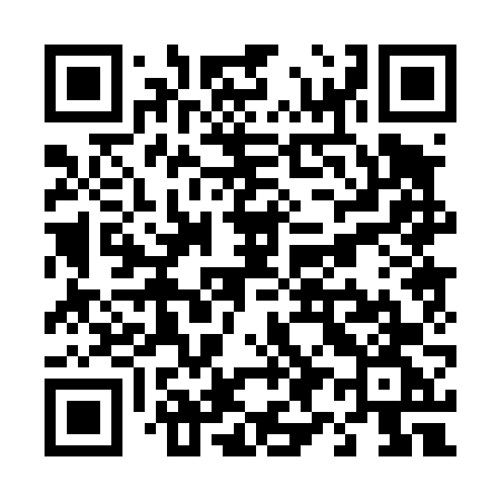 QR code for T9046G