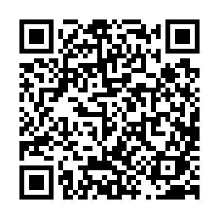 QR code for T9079K