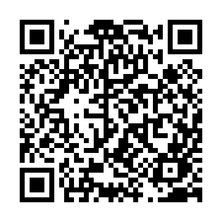 QR code for T9105N