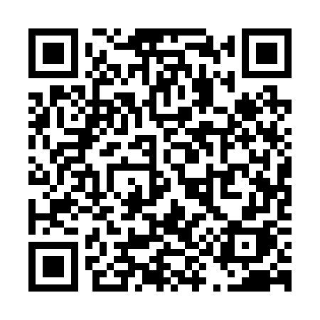 QR code for T9127H