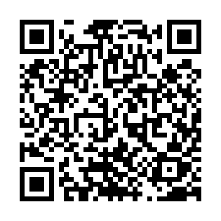 QR code for T9151Z