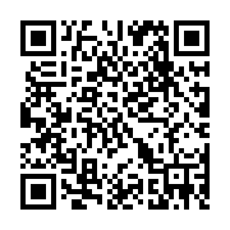QR code for T91HOT