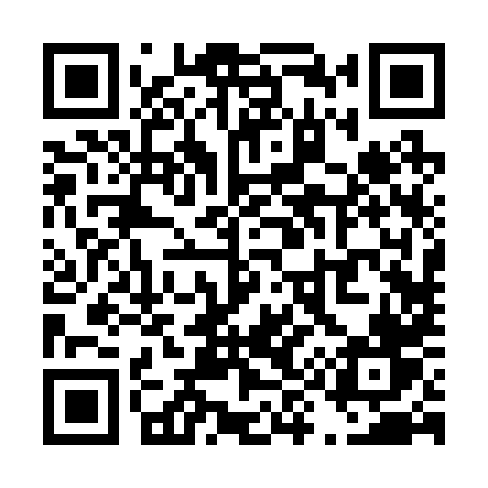 QR code for T9228V