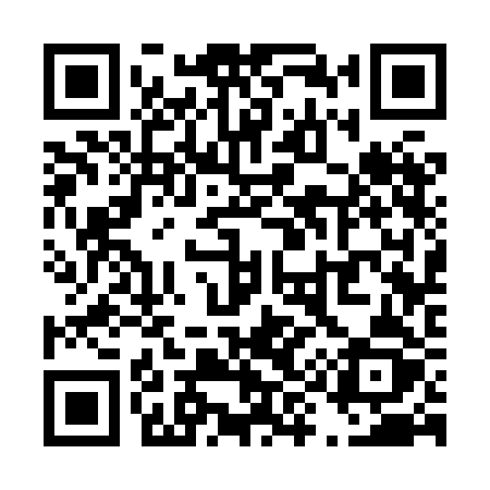 QR code for T938BZ
