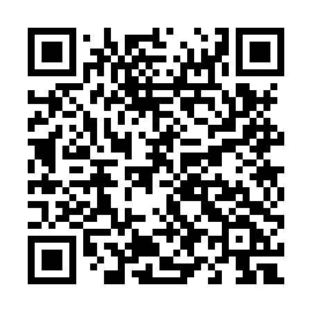 QR code for T938TF