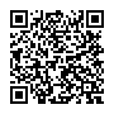 QR code for T938UR