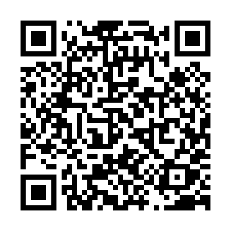 QR code for T9508Y