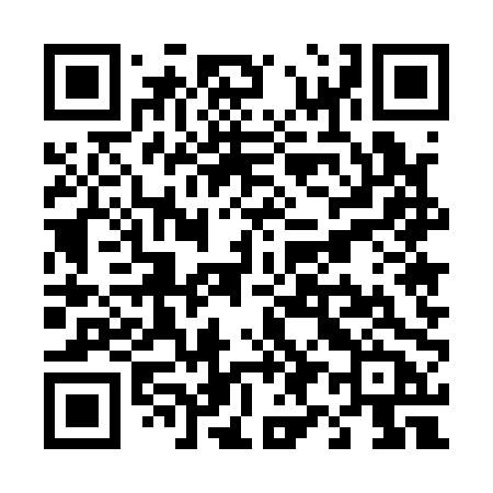 QR code for T9510B
