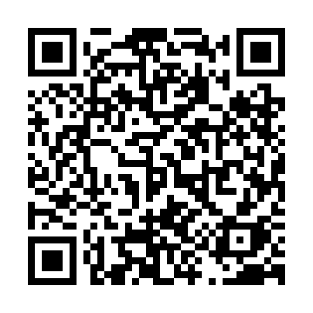 QR code for T953CH