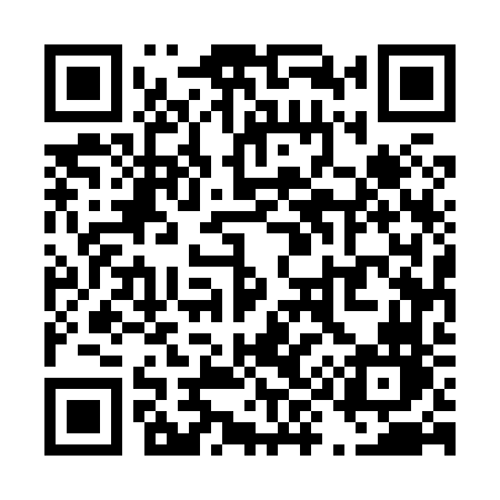 QR code for T9586N