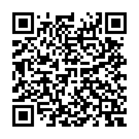 QR code for T95DUR