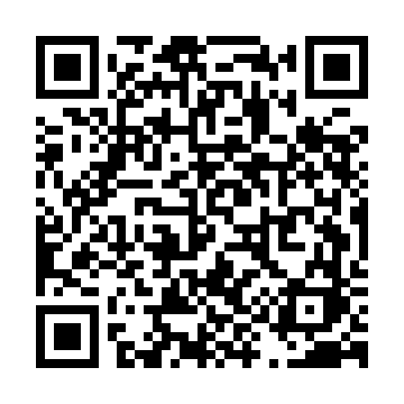 QR code for T95IFK