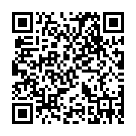 QR code for T95QGR