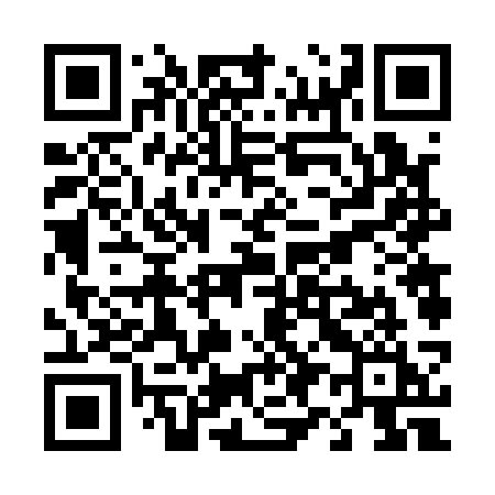 QR code for T9613I