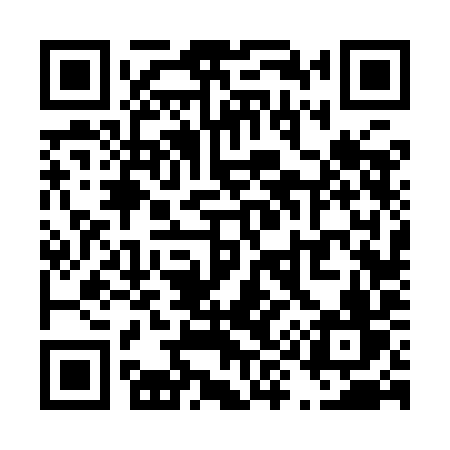 QR code for T969IV