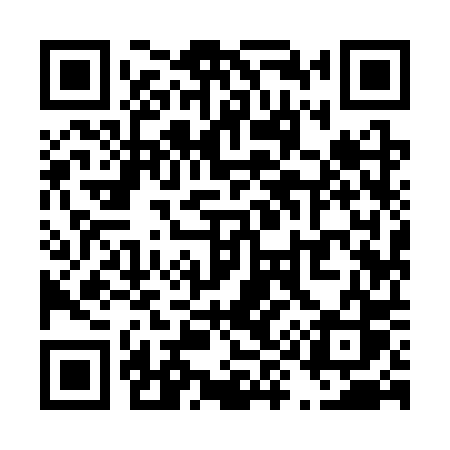 QR code for T993PS
