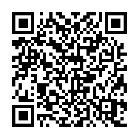 QR code for TD313T