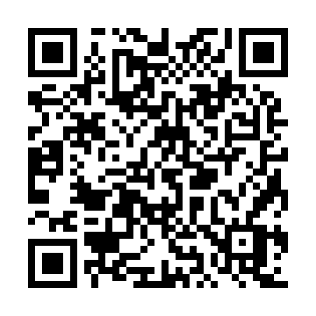 QR code for TI396V