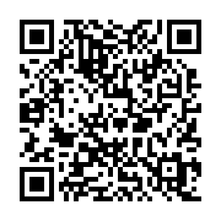 QR code for TI420M