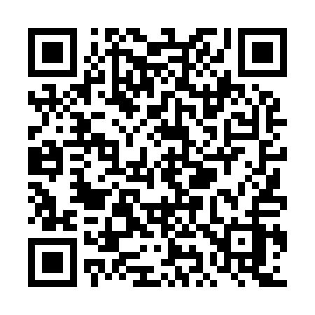 QR code for TI491Z