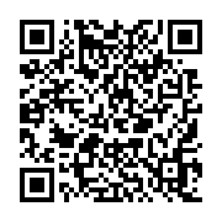 QR code for TI971N