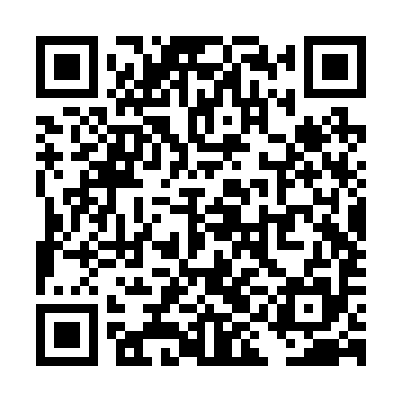 QR code for TIBR95