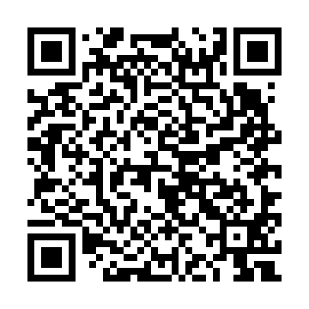 QR code for TJEF91