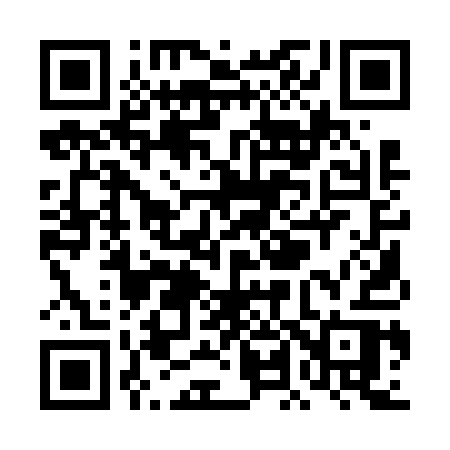 QR code for TL161R