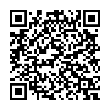 QR code for TL303P