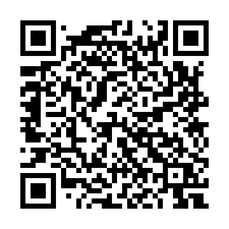 QR code for TO390Q