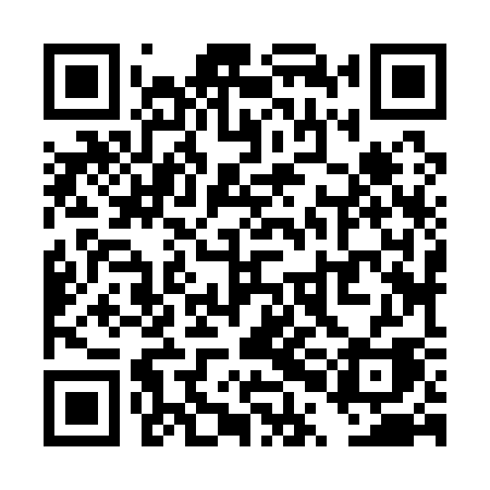 QR code for TPJ13A