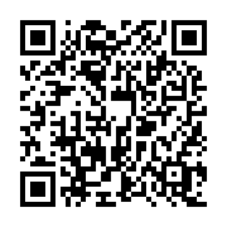 QR code for TPN93F